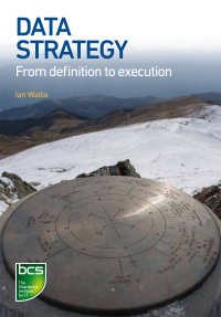 Cover image: Data Strategy 1st edition 9781780175416