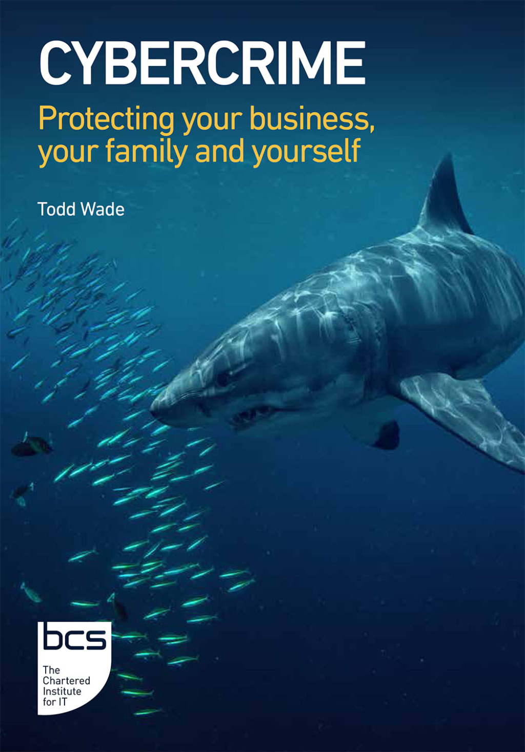 Cybercrime Protecting your business, your family and yourself