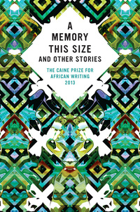 Omslagafbeelding: The Caine Prize for African Writing 2013 9781780261195