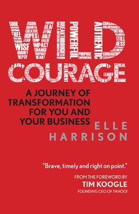Cover image: Wild Courage 9781907486913