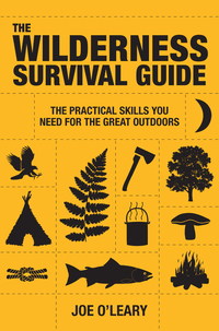 Cover image: The Wilderness Survival Guide 9781907486043