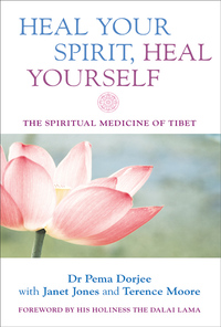 Cover image: Heal Your Spirit, Heal Yourself 9781842931554