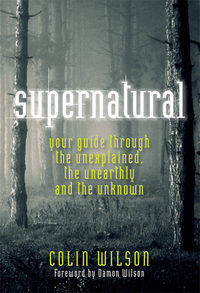 Cover image: Supernatural 9781907486555