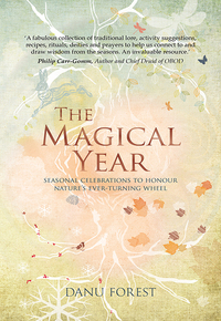 Cover image: The Magical Year 9781780288611