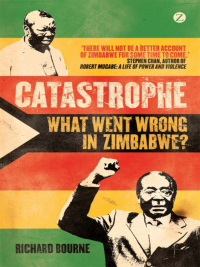 Cover image: Catastrophe 1st edition 9781848135208