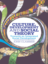 Cover image: Culture, Development and Social Theory 1st edition 9781780323145