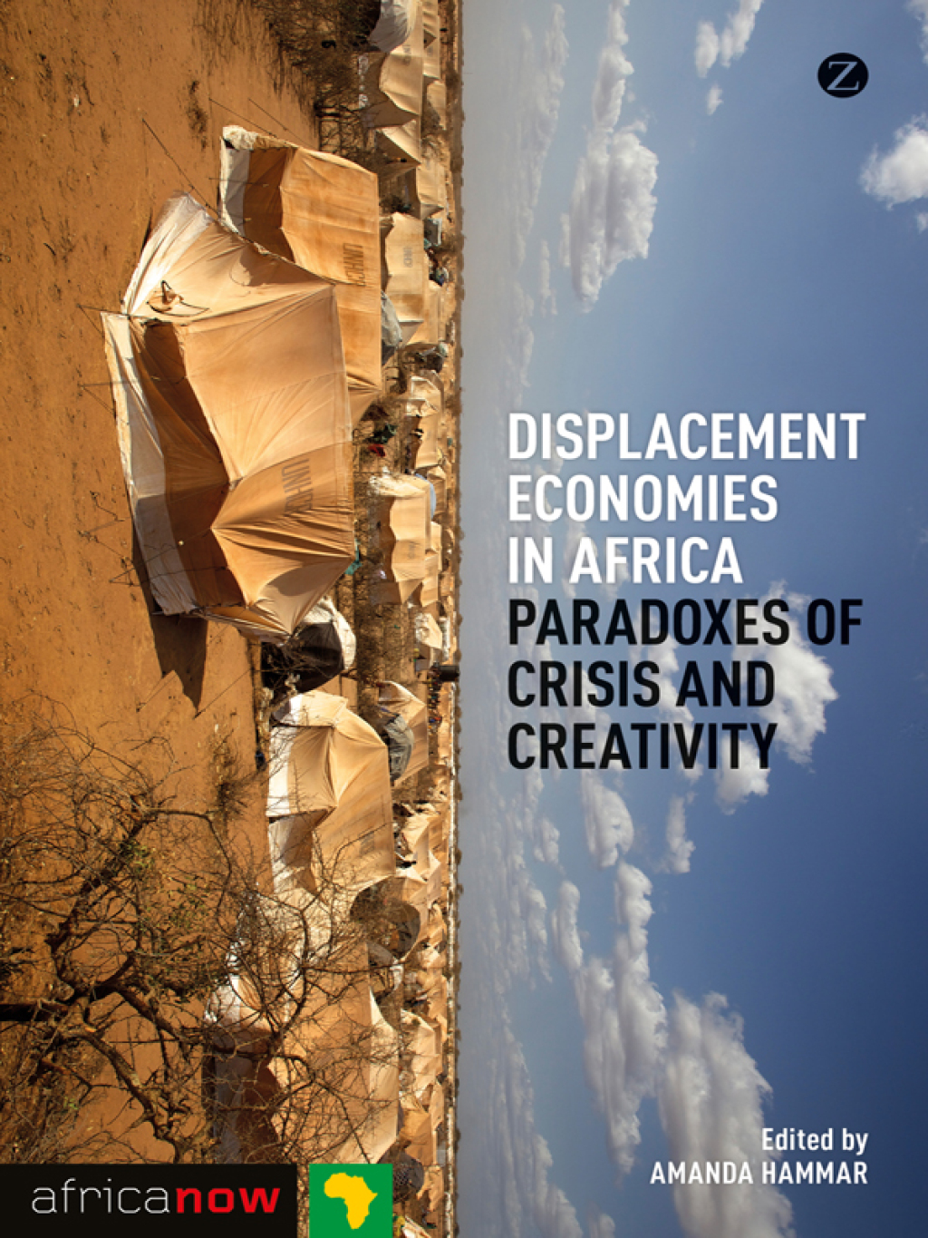 Displacement Economies in Africa Paradoxes of Crisis and Creativity 1st Edition