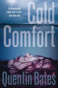 Cover image: Cold Comfort 9781849013611