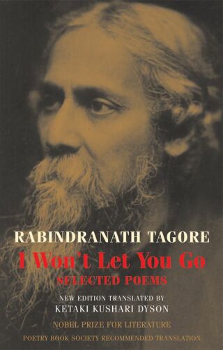 Cover image: I Won't Let You Go 9781852248987
