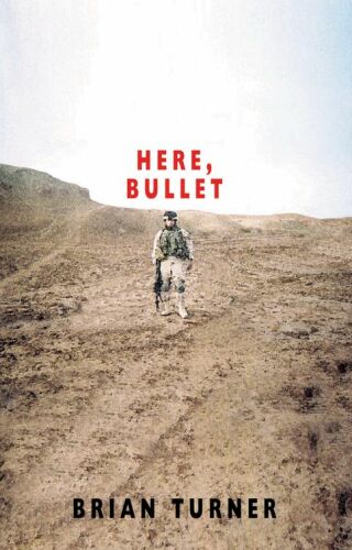 صورة الغلاف: Here, Bullet 9781852247997