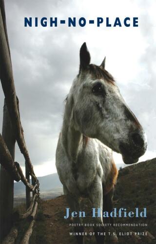 Cover image: Nigh-No-Place 9781852247935