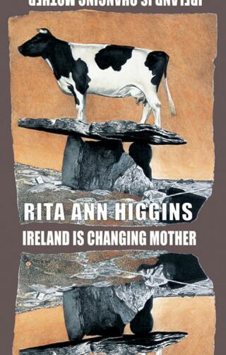 Cover image: Ireland Is Changing Mother 9781852249052