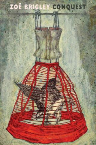 صورة الغلاف: Conquest 9781852249304