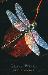 Cover image: Glass Wings 9781852249731