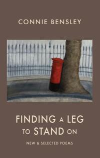 Imagen de portada: Finding a Leg to Stand On 9781852249564