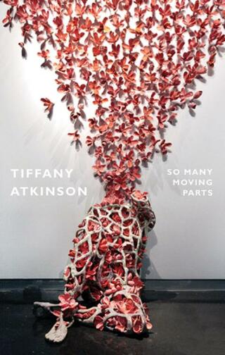Cover image: So Many Moving Parts 9781852249526