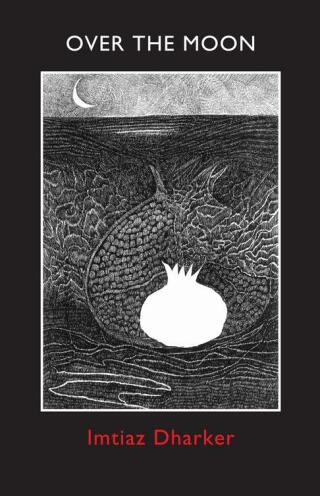 Imagen de portada: Over the Moon 9781780371207