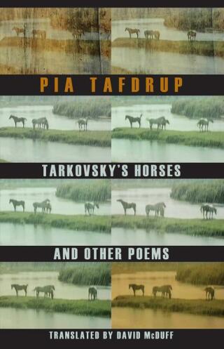 Cover image: Tarkovsky's Horses and other poems 9781852248376