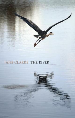 Cover image: The River 9781780372532