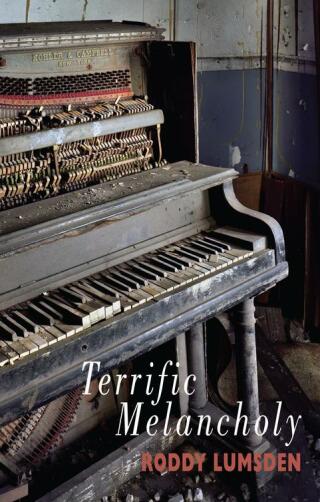 Cover image: Terrific Melancholy 9781852249083