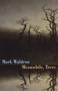 Cover image: Meanwhile, Trees 9781780372969