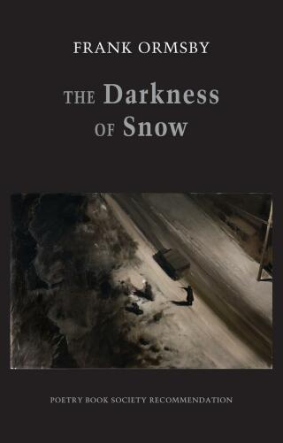 Immagine di copertina: The Darkness of Snow 9781780373669