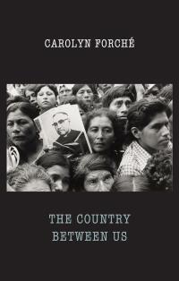 Cover image: The Country Between Us 9781780373744