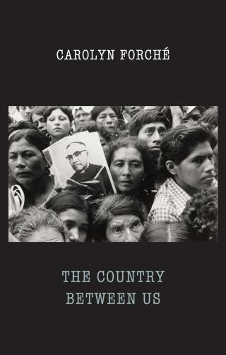 Immagine di copertina: The Country Between Us 9781780373744
