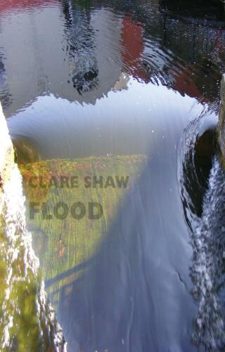 Cover image: Flood 9781780374208