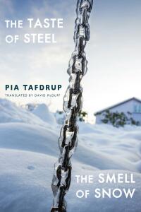 Titelbild: The Taste of Steel • The Smell of Snow 9781780375045