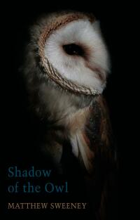 Cover image: Shadow of the Owl 9781780375427