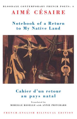 Omslagafbeelding: Notebook of a Return to My Native Land 9781852241841