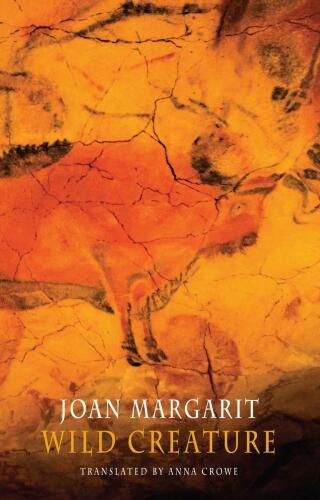 Cover image: Wild Creature 9781780375922