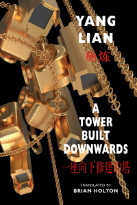 Cover image: A Tower Built Downwards 9781780376431