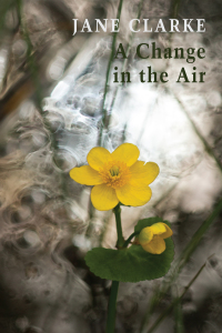 Cover image: A Change in the Air 9781780376592