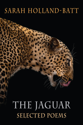 Cover image: The Jaguar 9781780377049