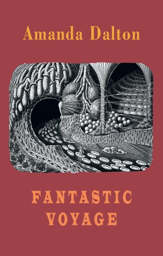 Cover image: Fantastic Voyage 9781780377117