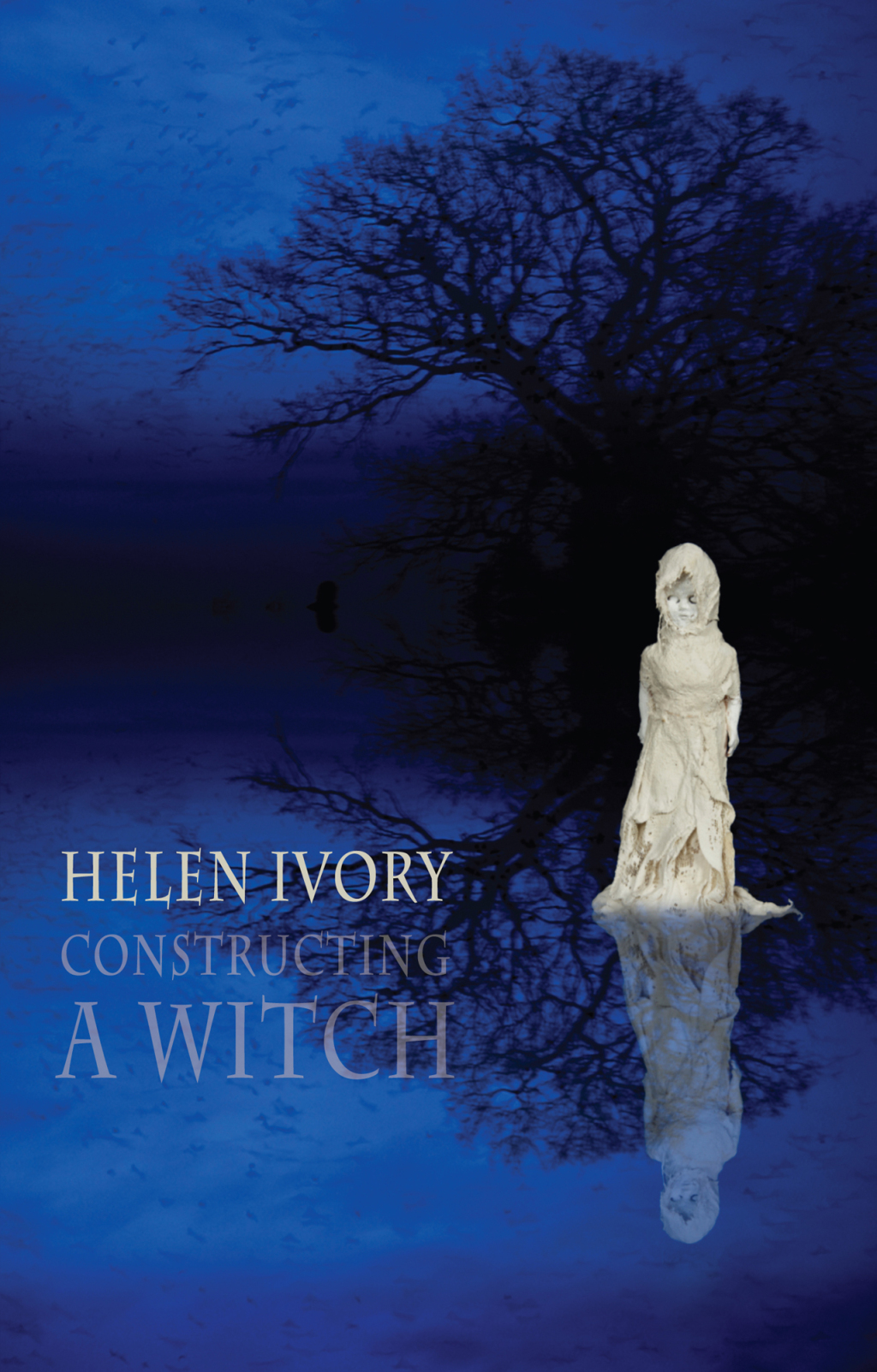 Constructing a Witch (eBook)