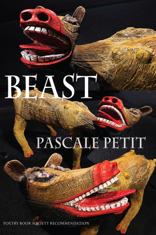 Cover image: Beast 9781780377377