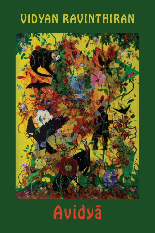 Imagen de portada: Avidya 9781780377391
