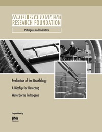 Cover image: Evaluation of the Doodlebug 9781843396680