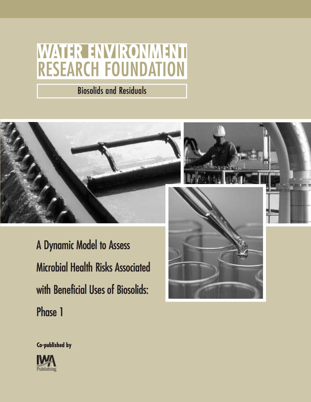 A Dynamic Model to Assess Microbial Health Risks Associated with Beneficial Uses of Biosolids – Phase 1 WERF Report (Project 98-REM-1)