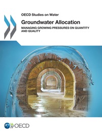 表紙画像: Groundwater Allocation 9781780409405