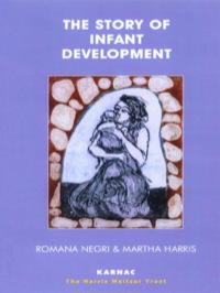 Cover image: The Story of Infant Development 9781855754140