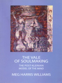 Imagen de portada: The Vale of Soulmaking 9781855753105