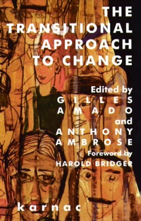 Imagen de portada: The Transitional Approach to Change 9781855752269