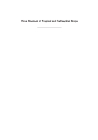 Immagine di copertina: Virus Diseases of Tropical and Subtropical Crops 1st edition 9781780644264
