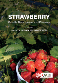 Cover image: Strawberry 1st edition 9781780646633