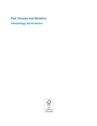 Omslagafbeelding: Fish Viruses and Bacteria 1st edition 9781780647784