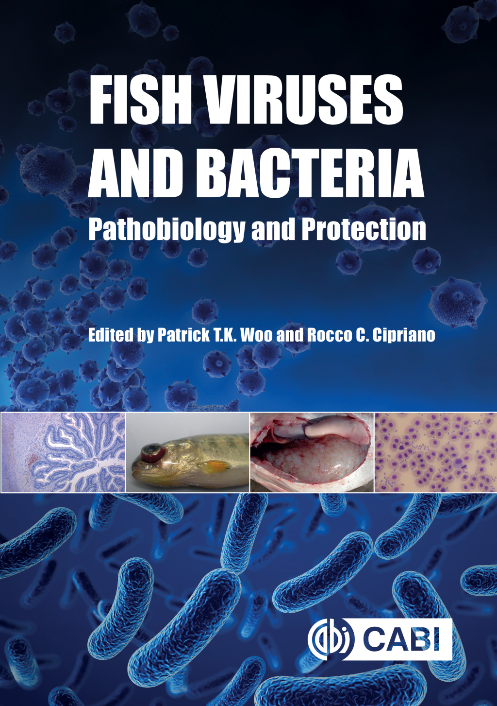 Fish Viruses and Bacteria Pathobiology and Protection 1st Edition